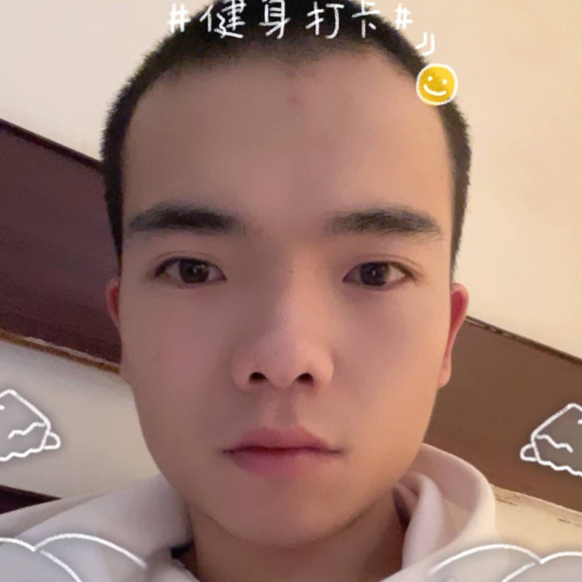 灰狼請专注的照片