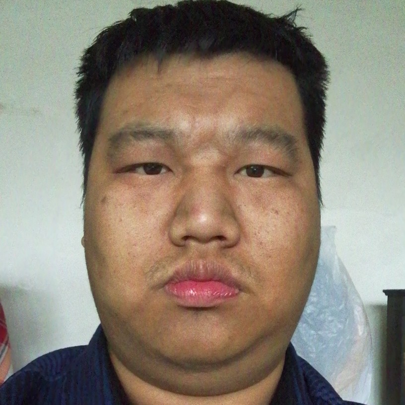 踏实停止小刺猬的照片