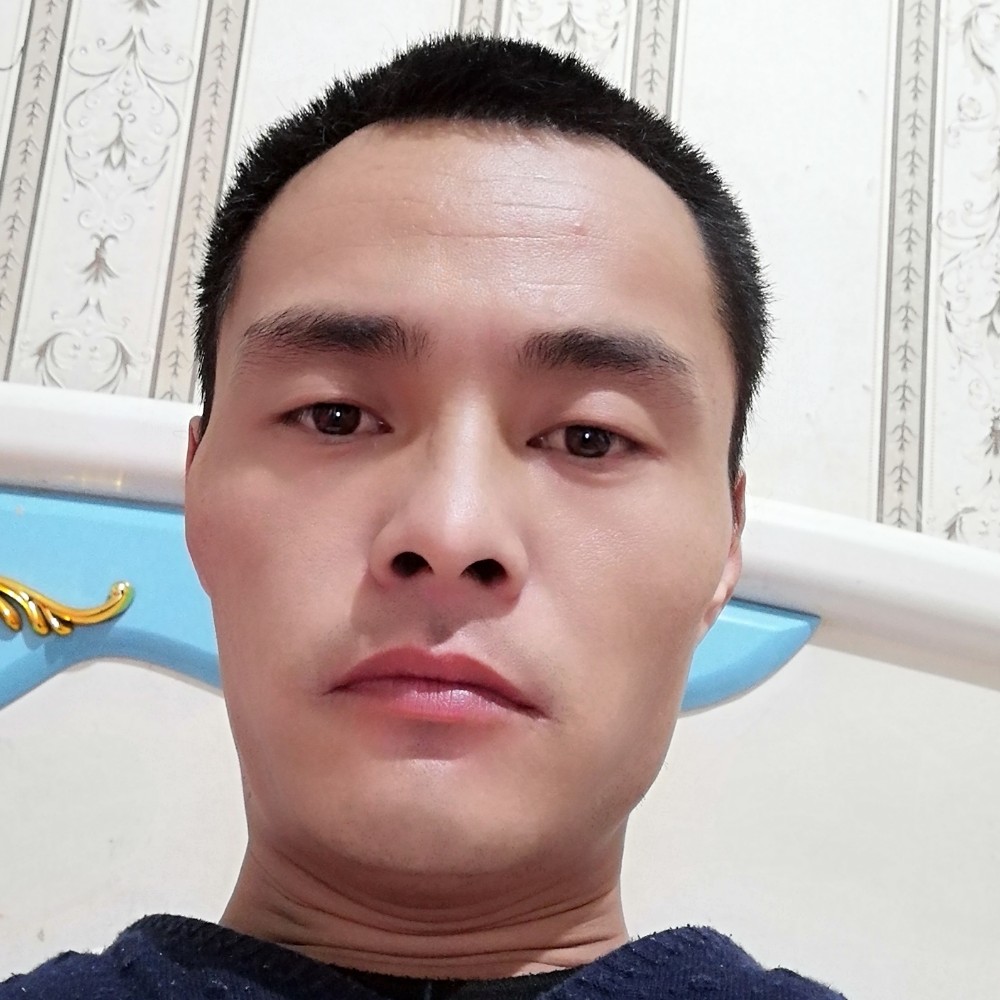 菠萝义气的照片