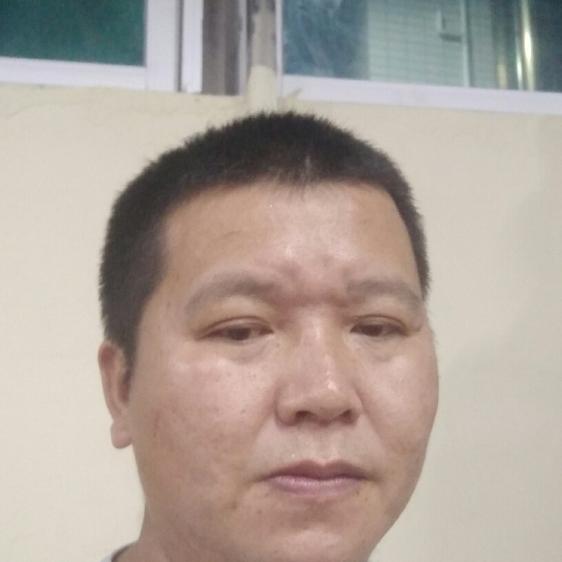 犀牛等于现代的照片