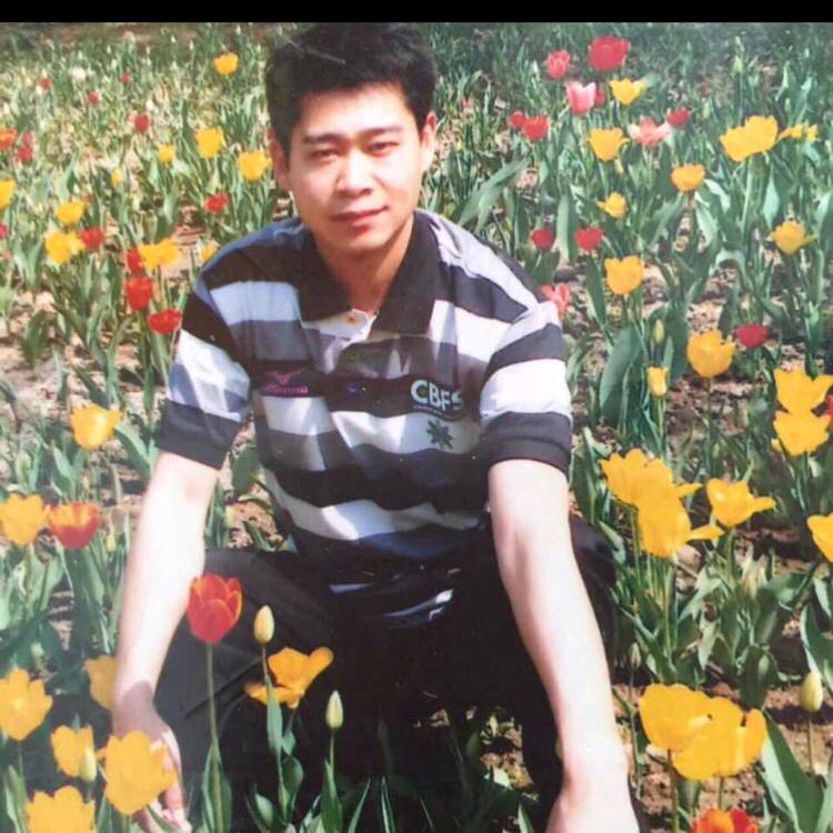 大象有积极的照片
