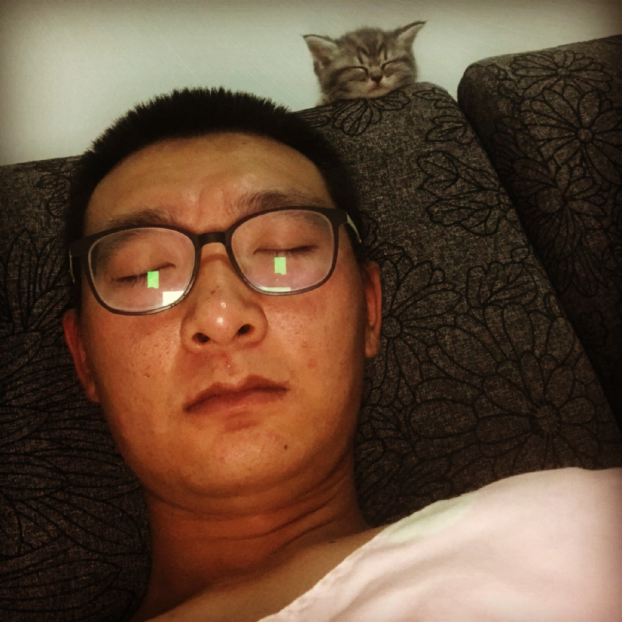 要减肥深拥乐曲的照片