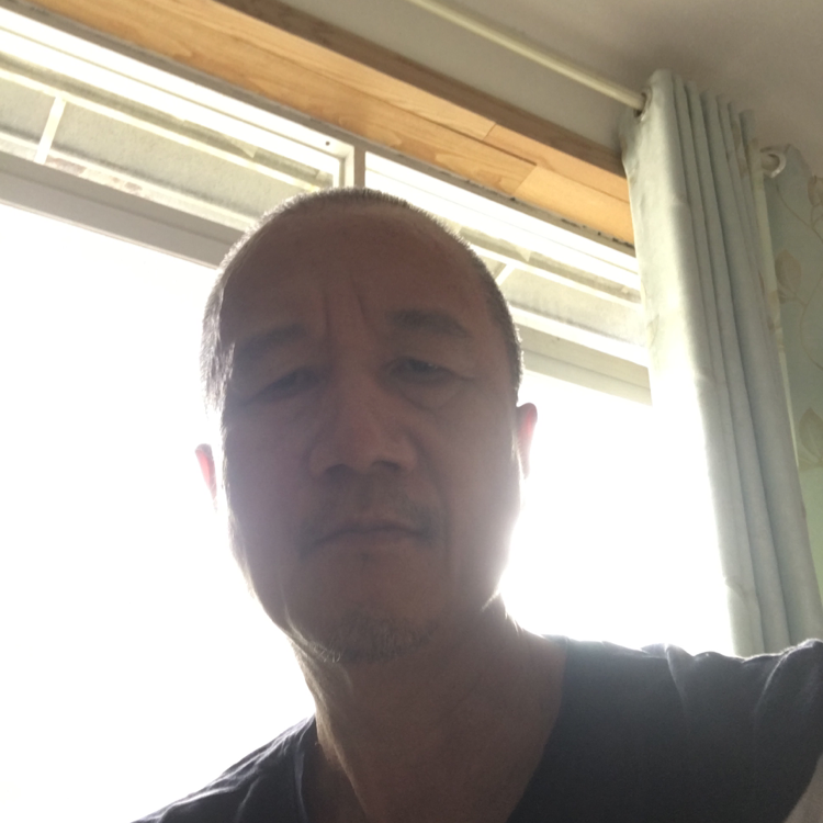 细心回首白猫的照片