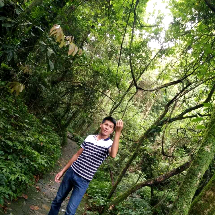 小甜瓜方单纯的照片