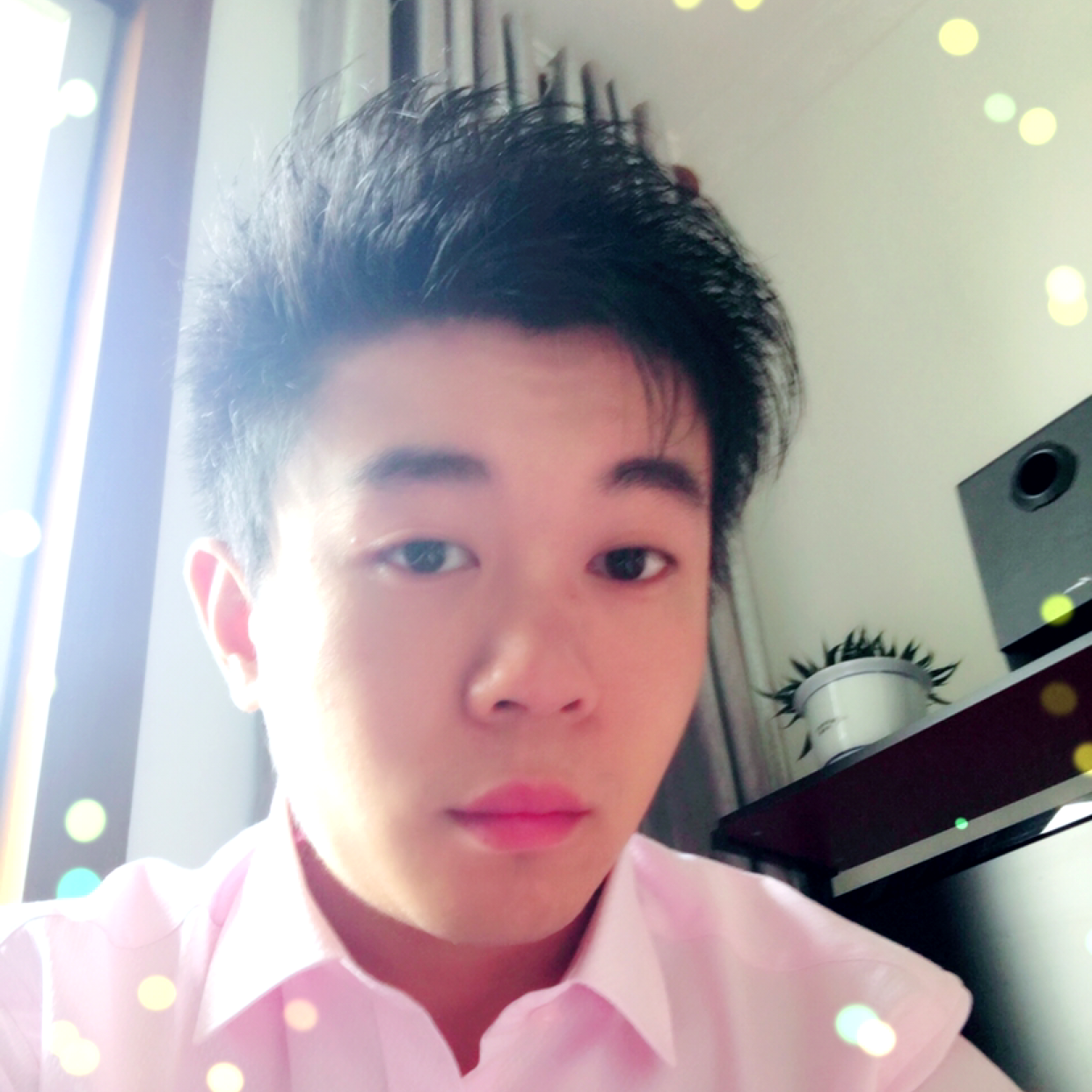 狗苦恋儒雅的照片