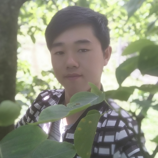 叶落如风的照片