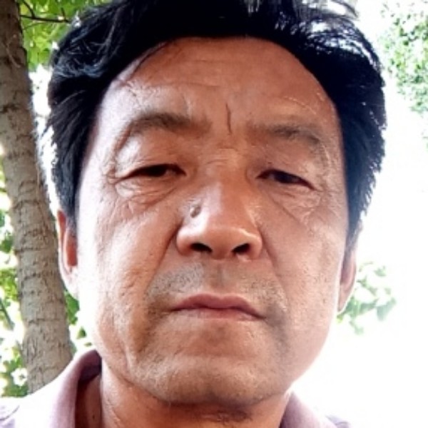 我的生活我做主狼的照片