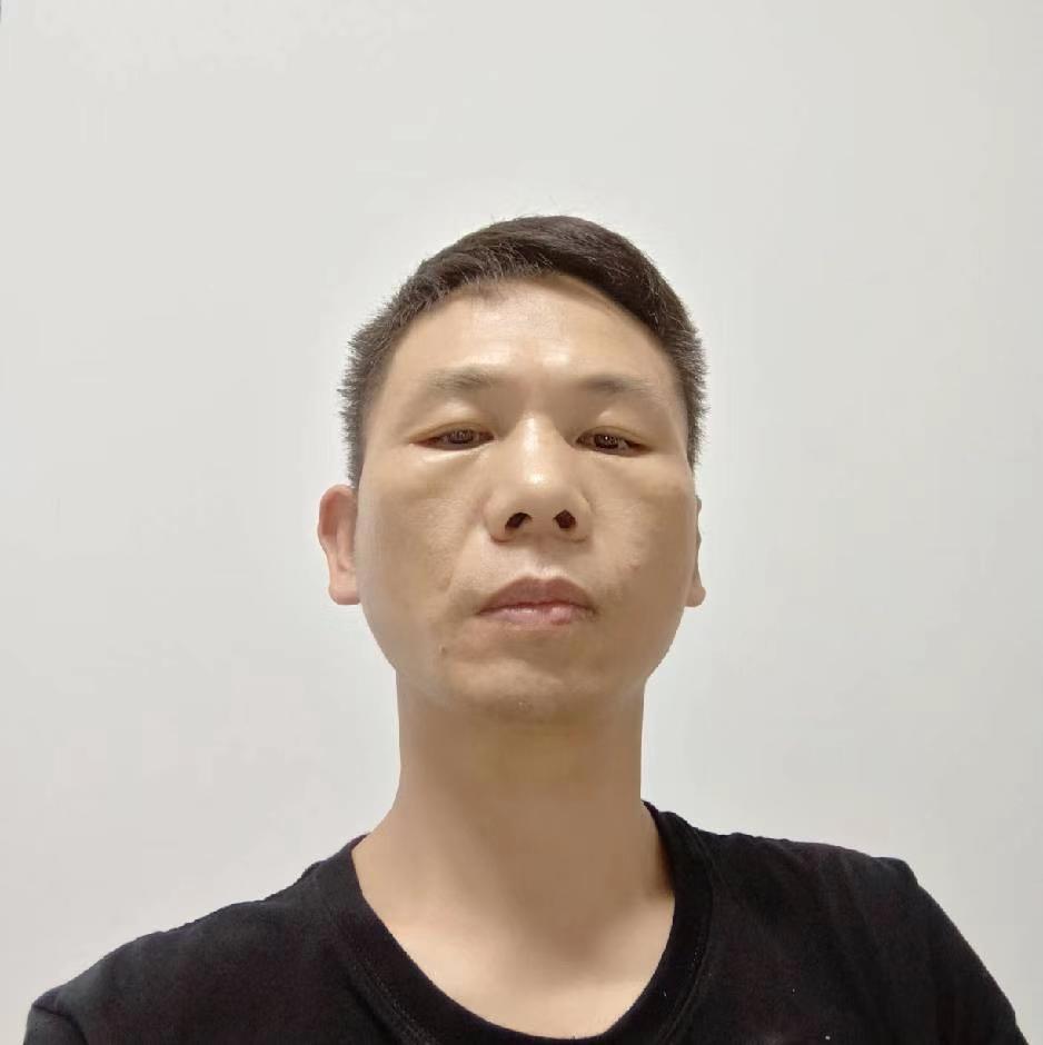 聪明和蜗牛的照片