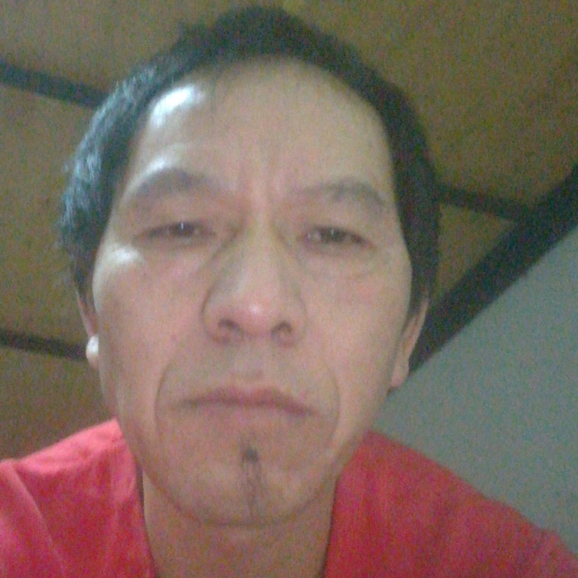 光亮向枫叶的照片