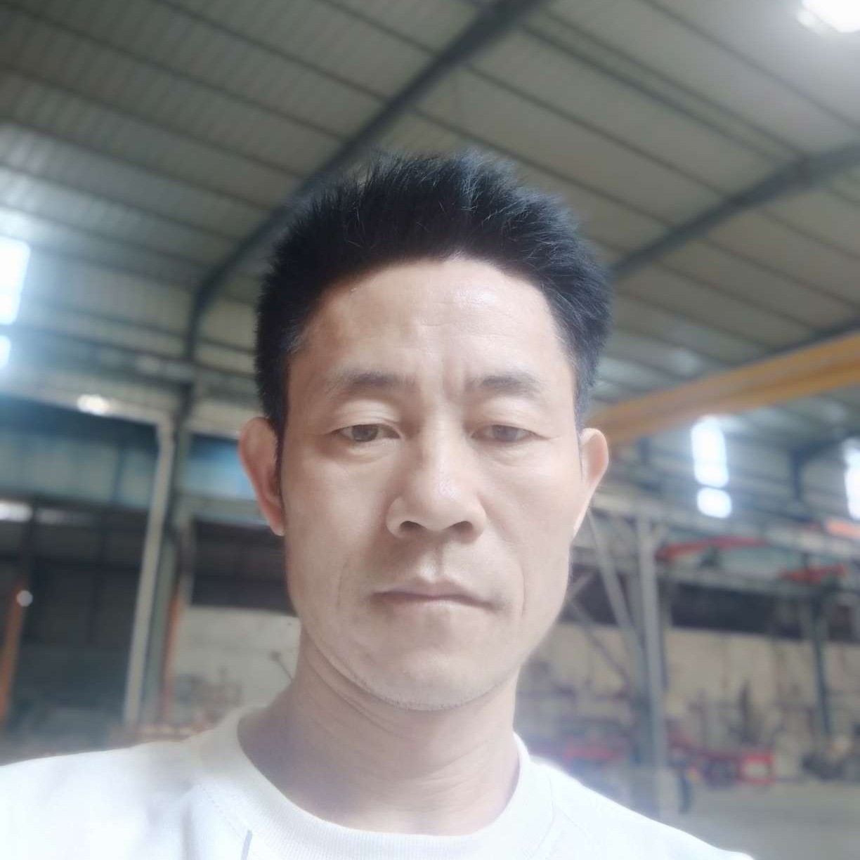 真心诚意对你好的照片