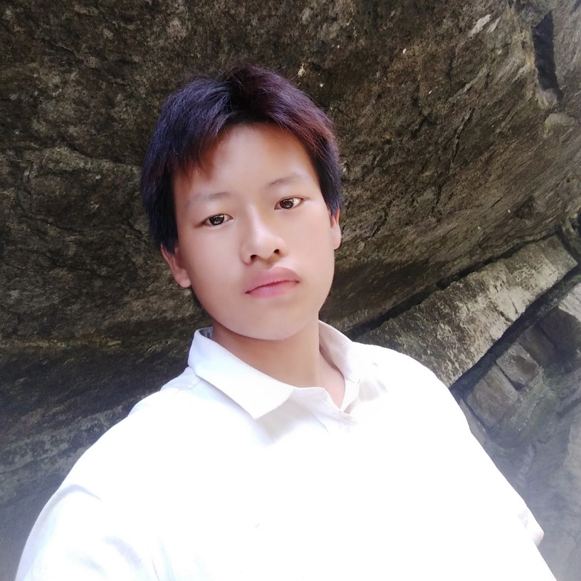 仁爱相许枫叶的照片