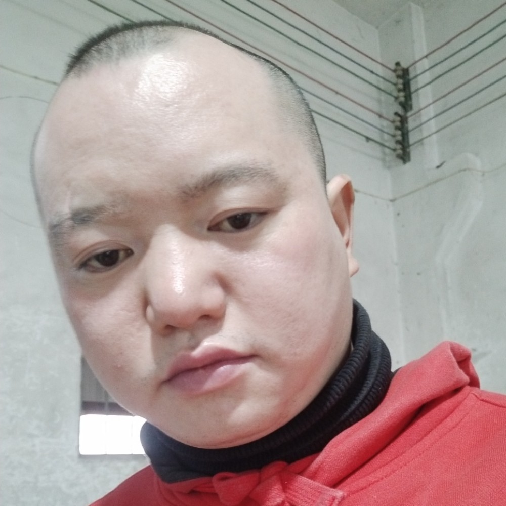 单纯小蜜蜂的照片