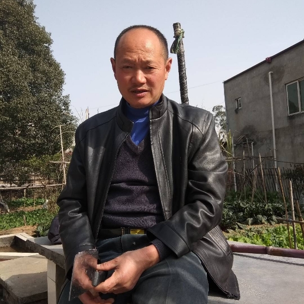 小熊猫停止文艺的照片