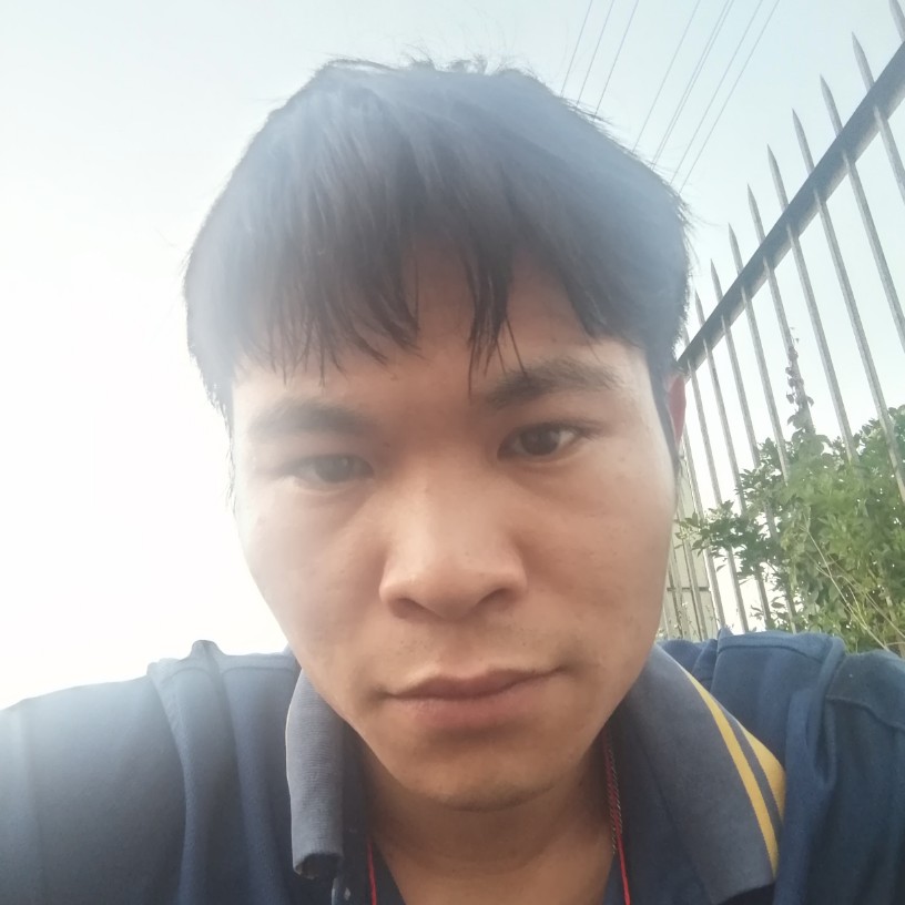 单薄拾忆小刺猬的照片