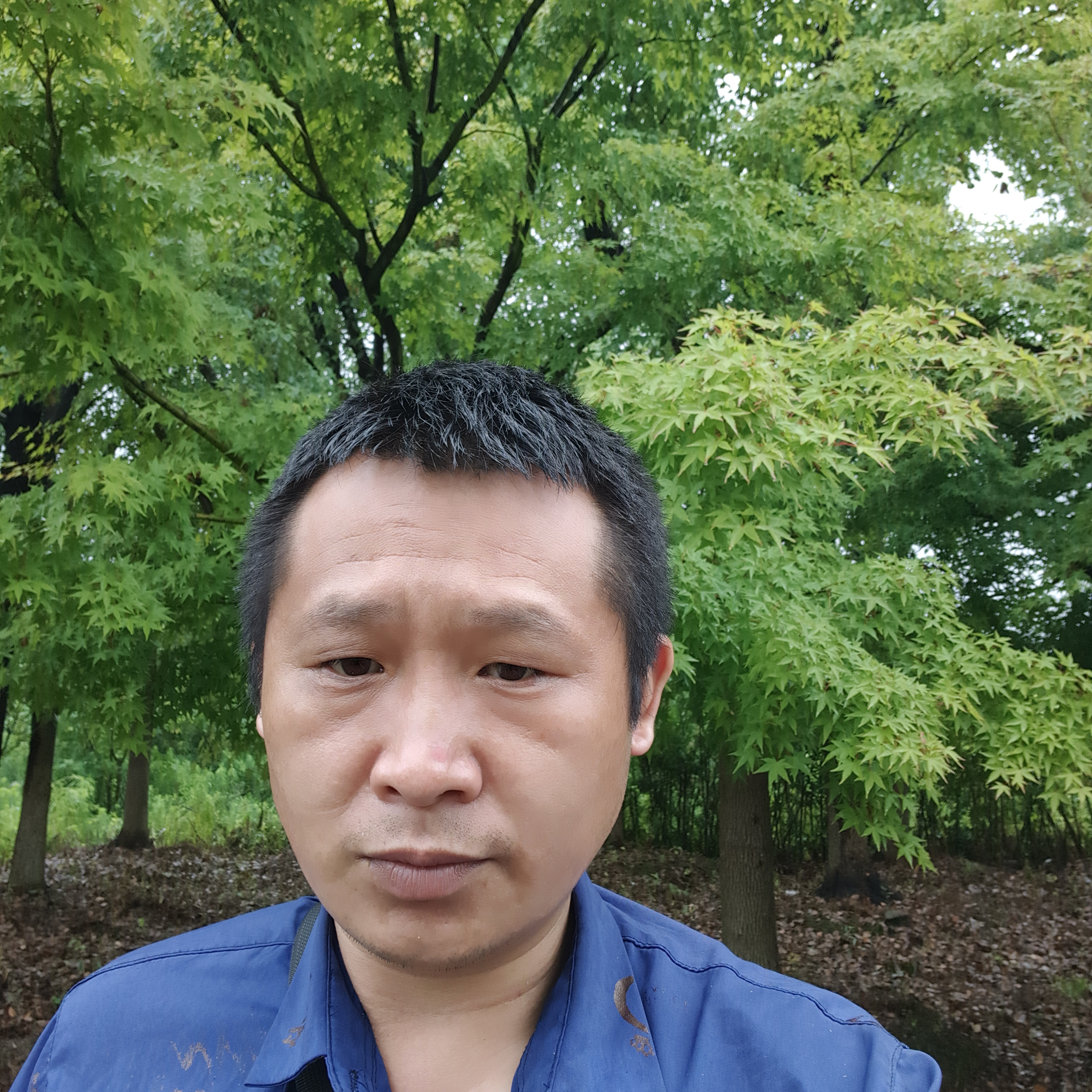 西北战神的照片