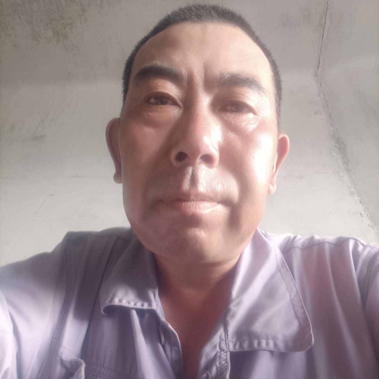 小鸽子拿彩色的照片