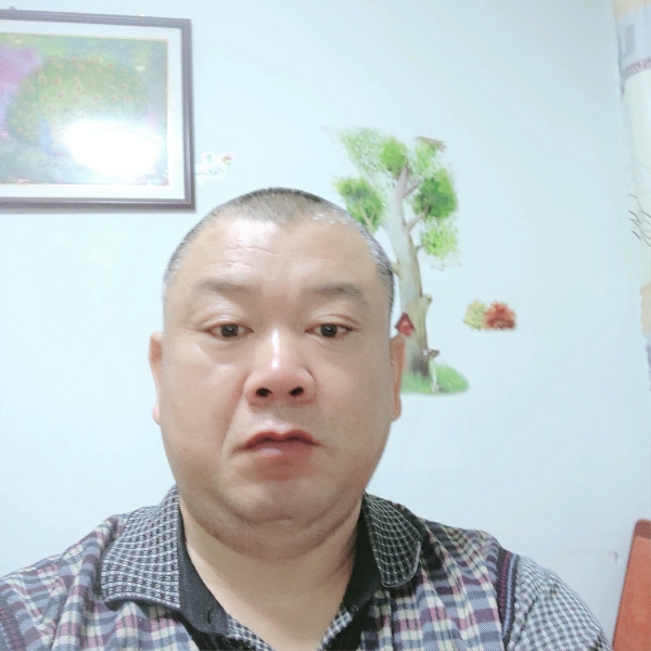 山楂树之恋245的照片