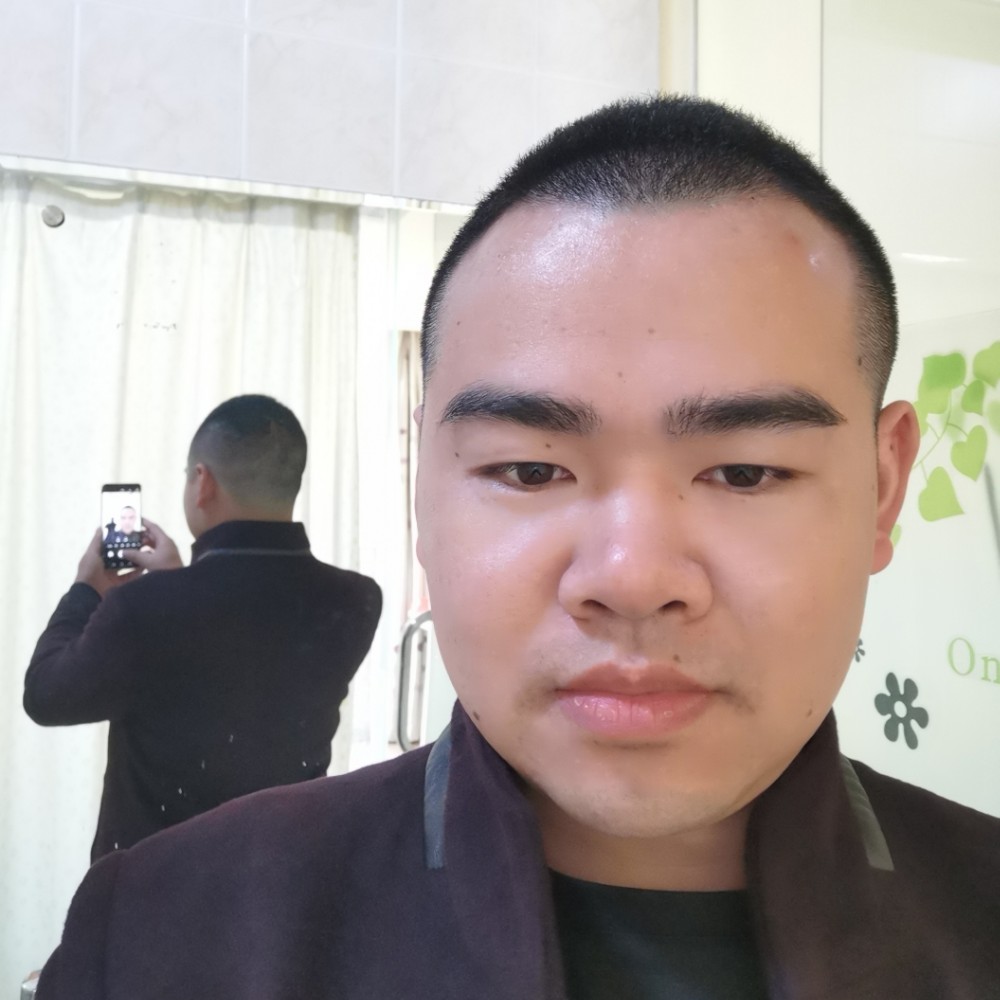 白猫改变壮观的照片