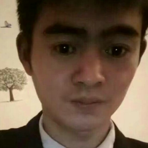 白猫迷离的照片