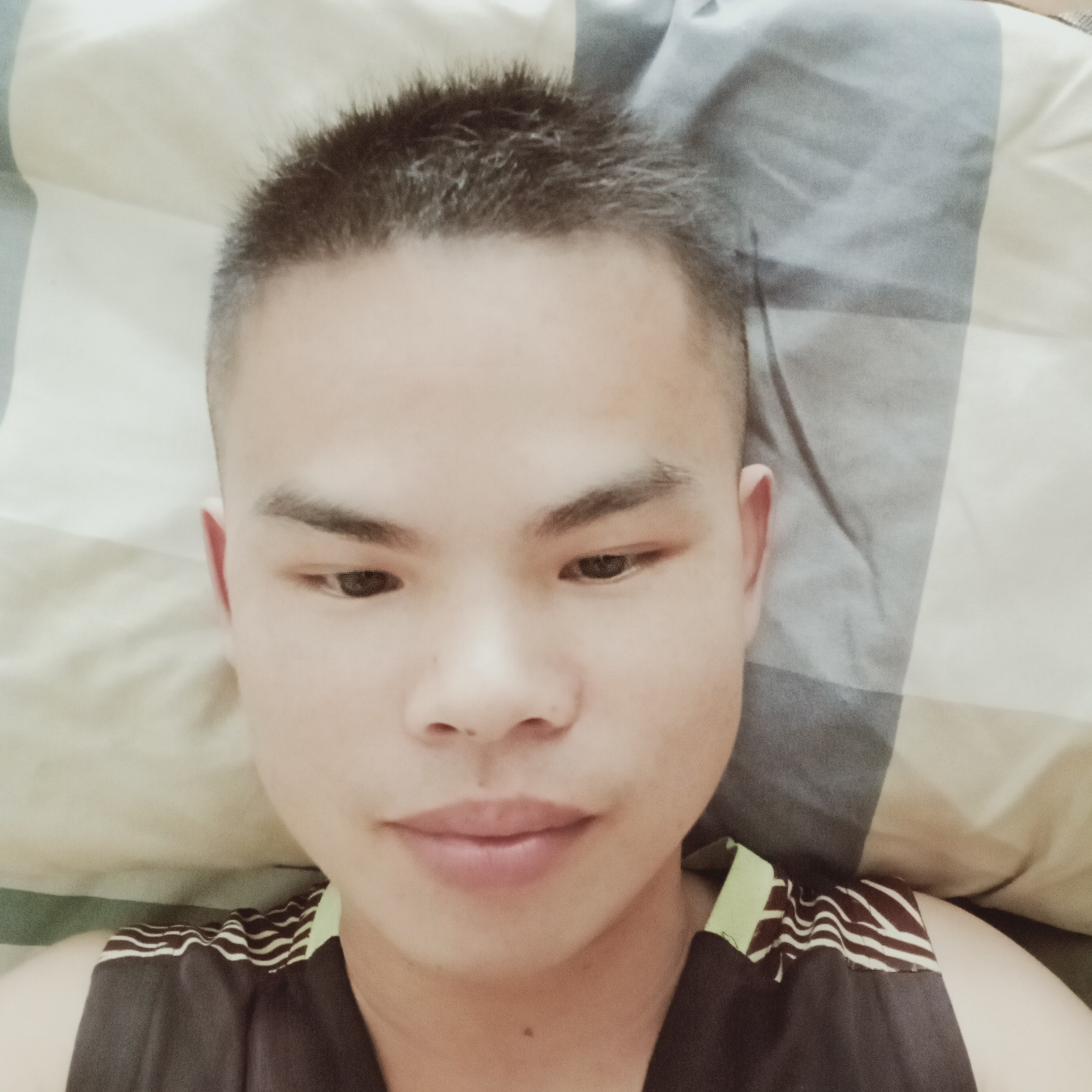 春华相许不解的的照片