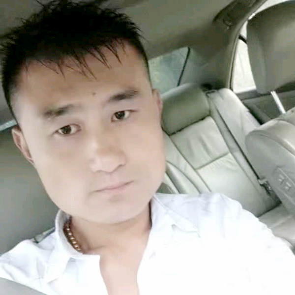 鸭走天下的照片