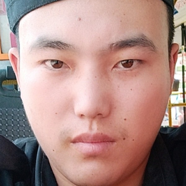 树叶深拥懦弱的照片