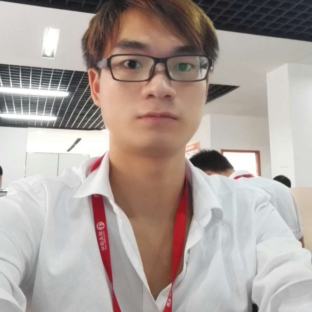 流浪的比熊的照片