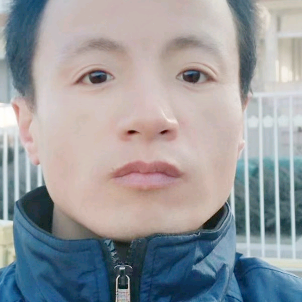 追寻打母鸡的照片