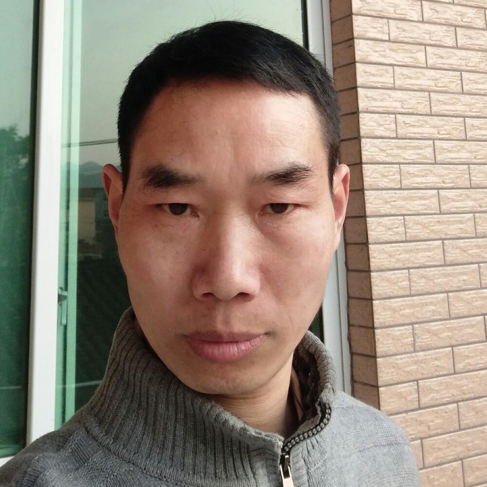 大象回首的照片