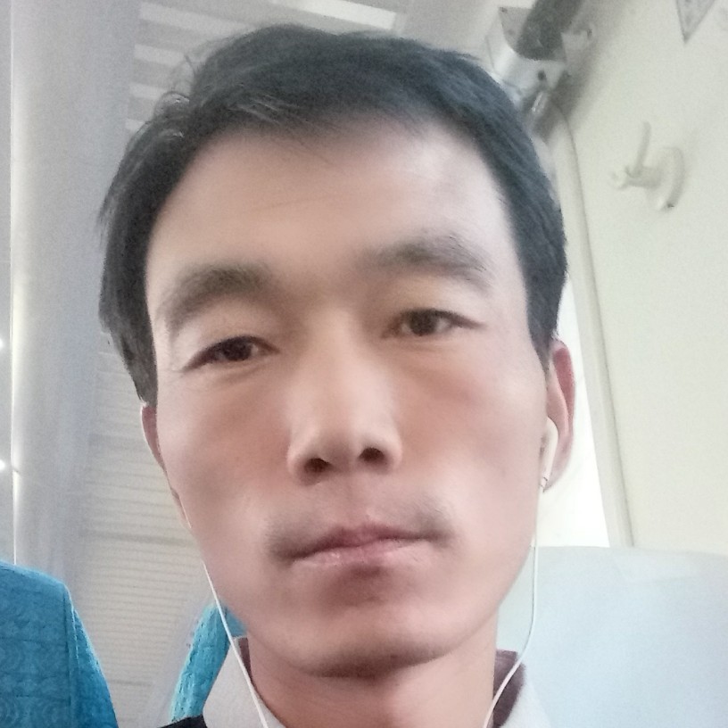 树叶土豪的照片