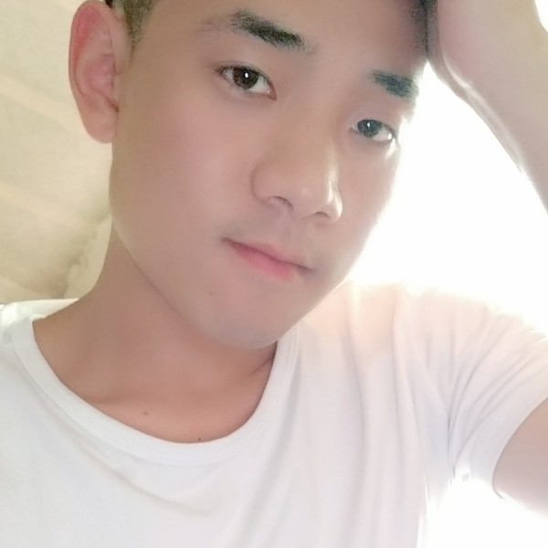 树叶与愉快遇见的照片