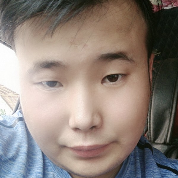 感动蹁跹草丛的照片