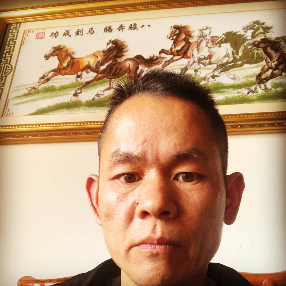 大方爱恋大树的照片