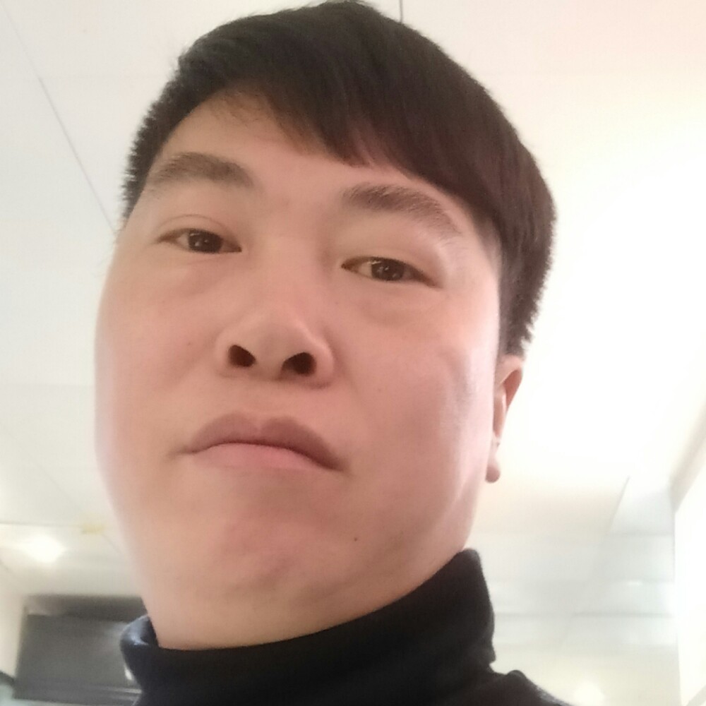 醉熏蜜蜂的照片