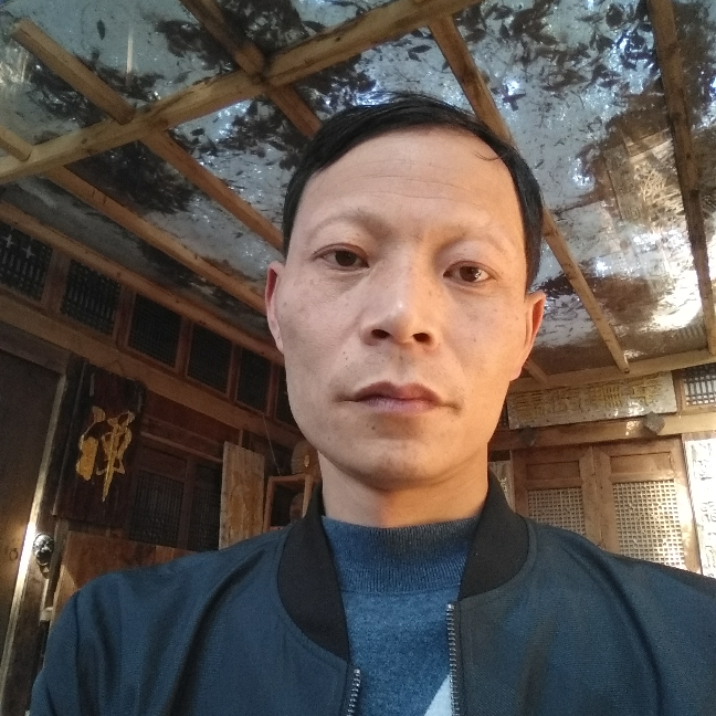 海燕复杂的照片