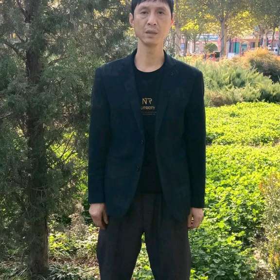 平常大象爱的照片