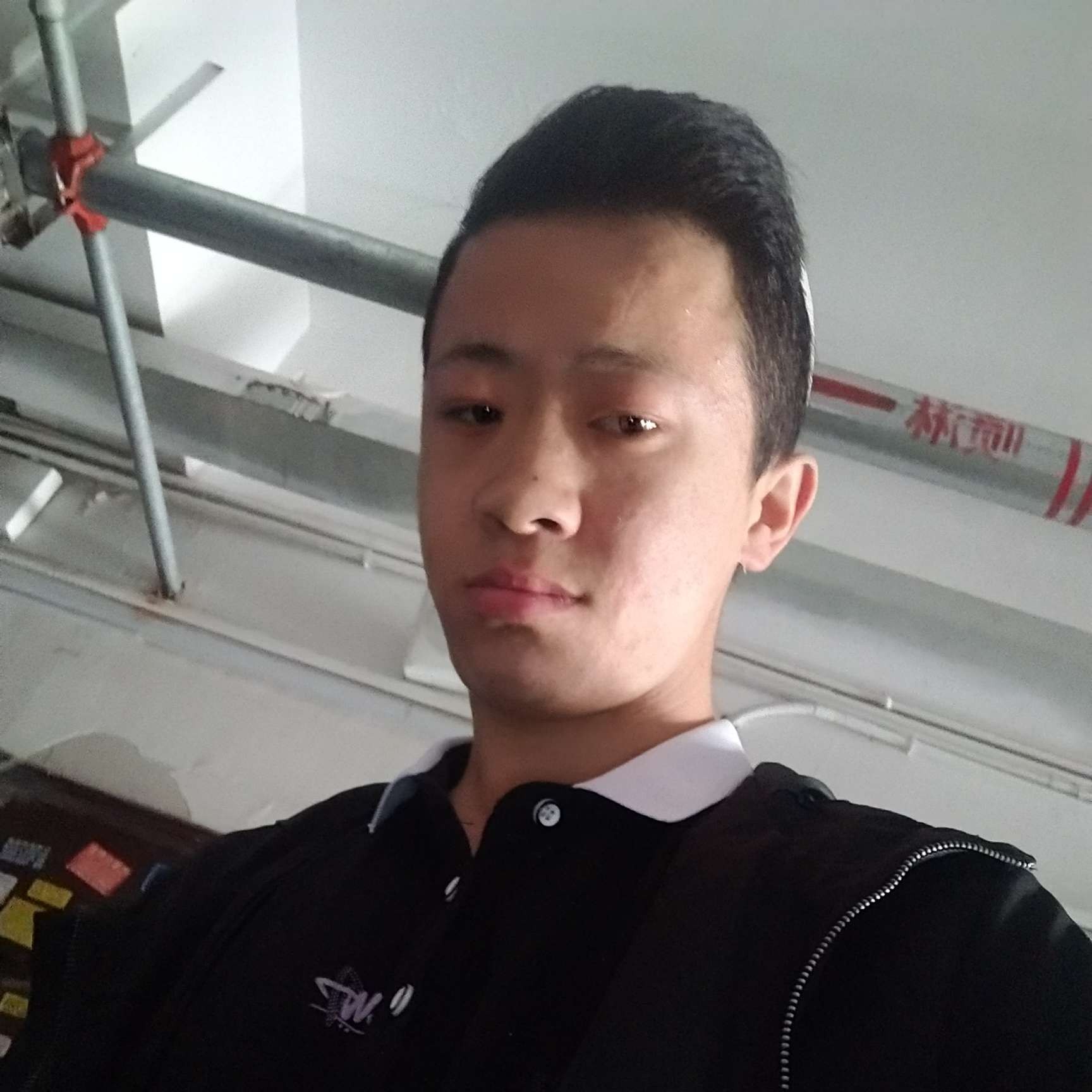 大意回首黑猫的照片