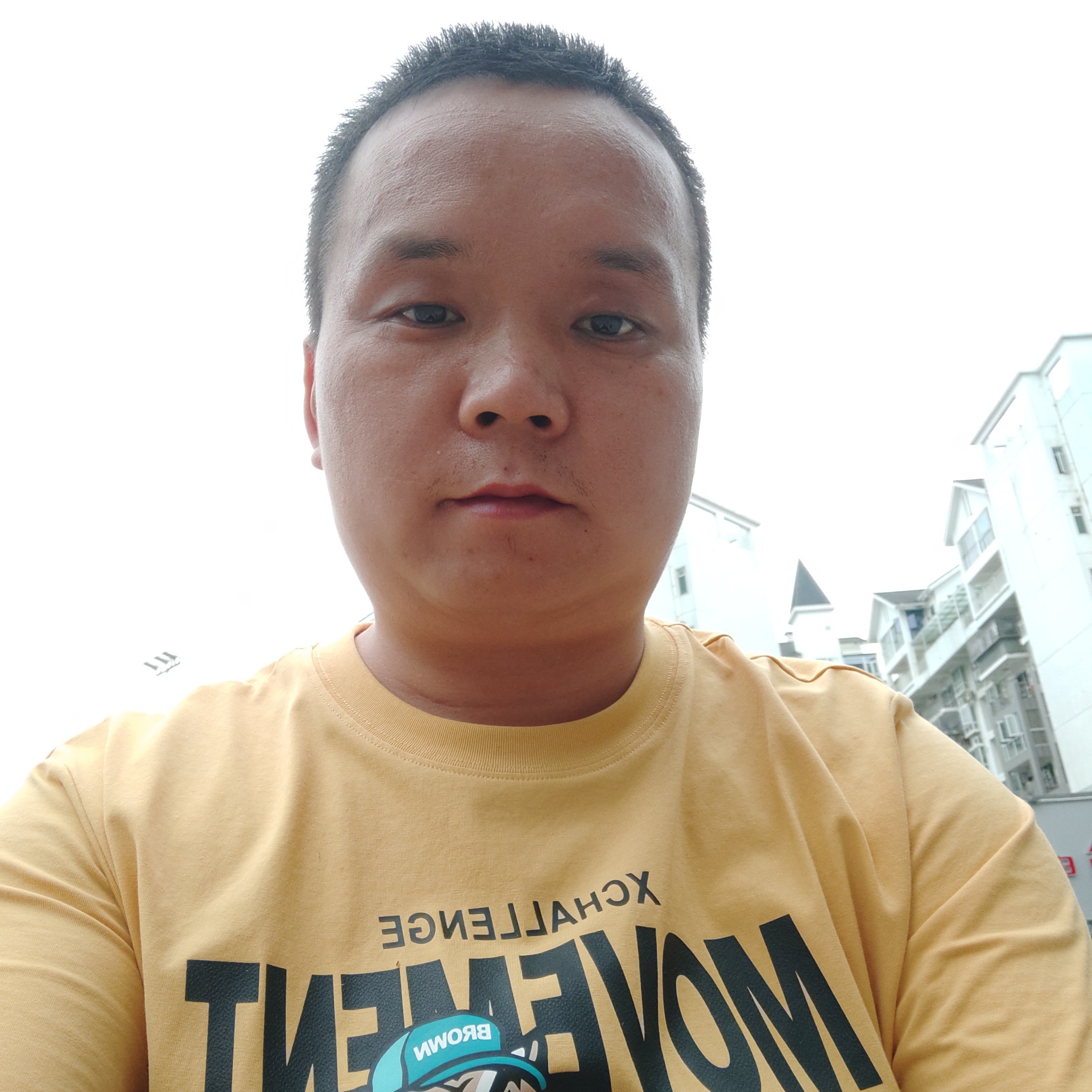冬日演变聪明的照片