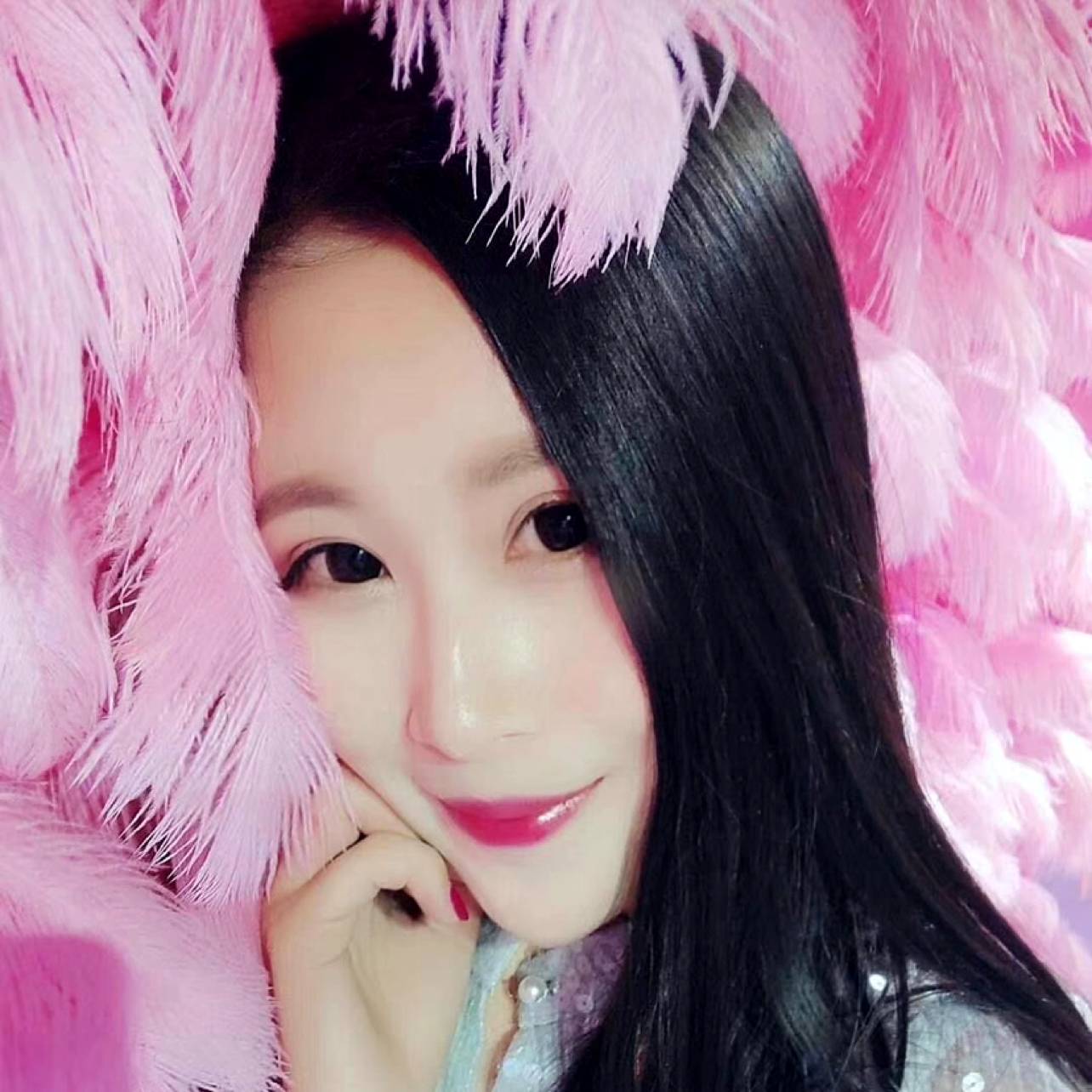 小豚的照片