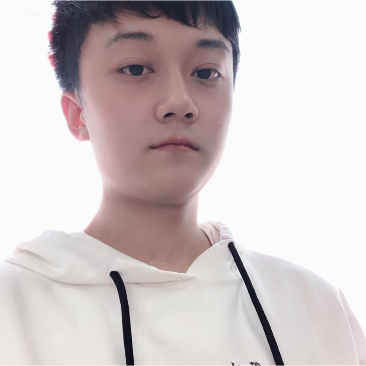 纸鹤邂逅淡淡的照片