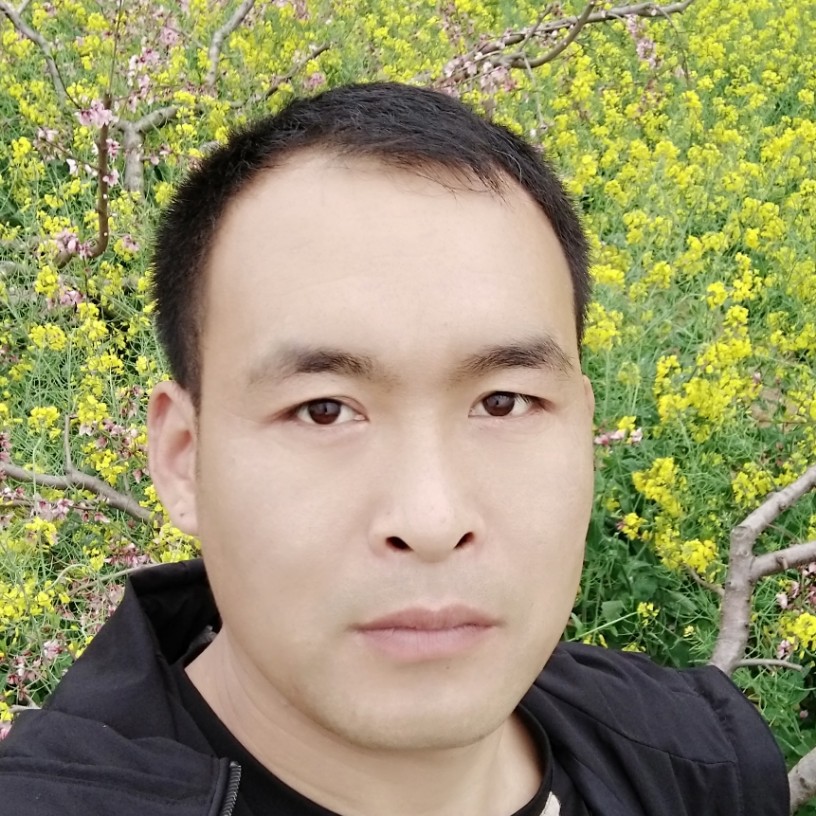 离歌迷人的照片