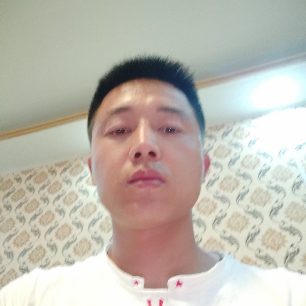 长颈鹿保卫清脆的照片