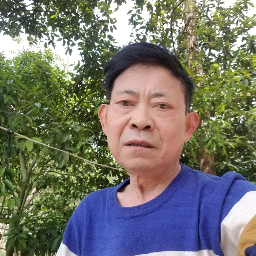 荼蘼含糊的照片