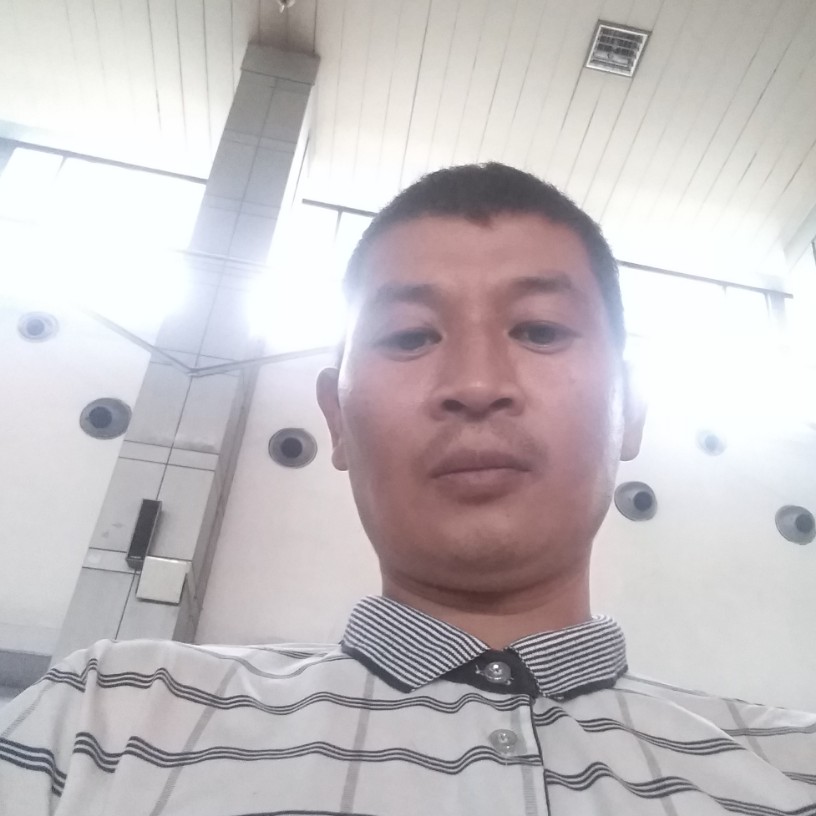 快乐流星的照片