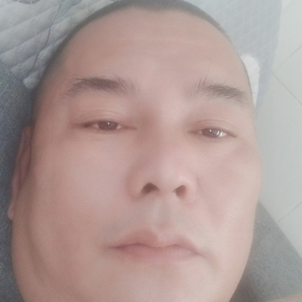肥猫，的照片