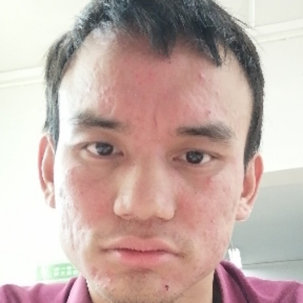 蜜蜂泪了疯狂的照片