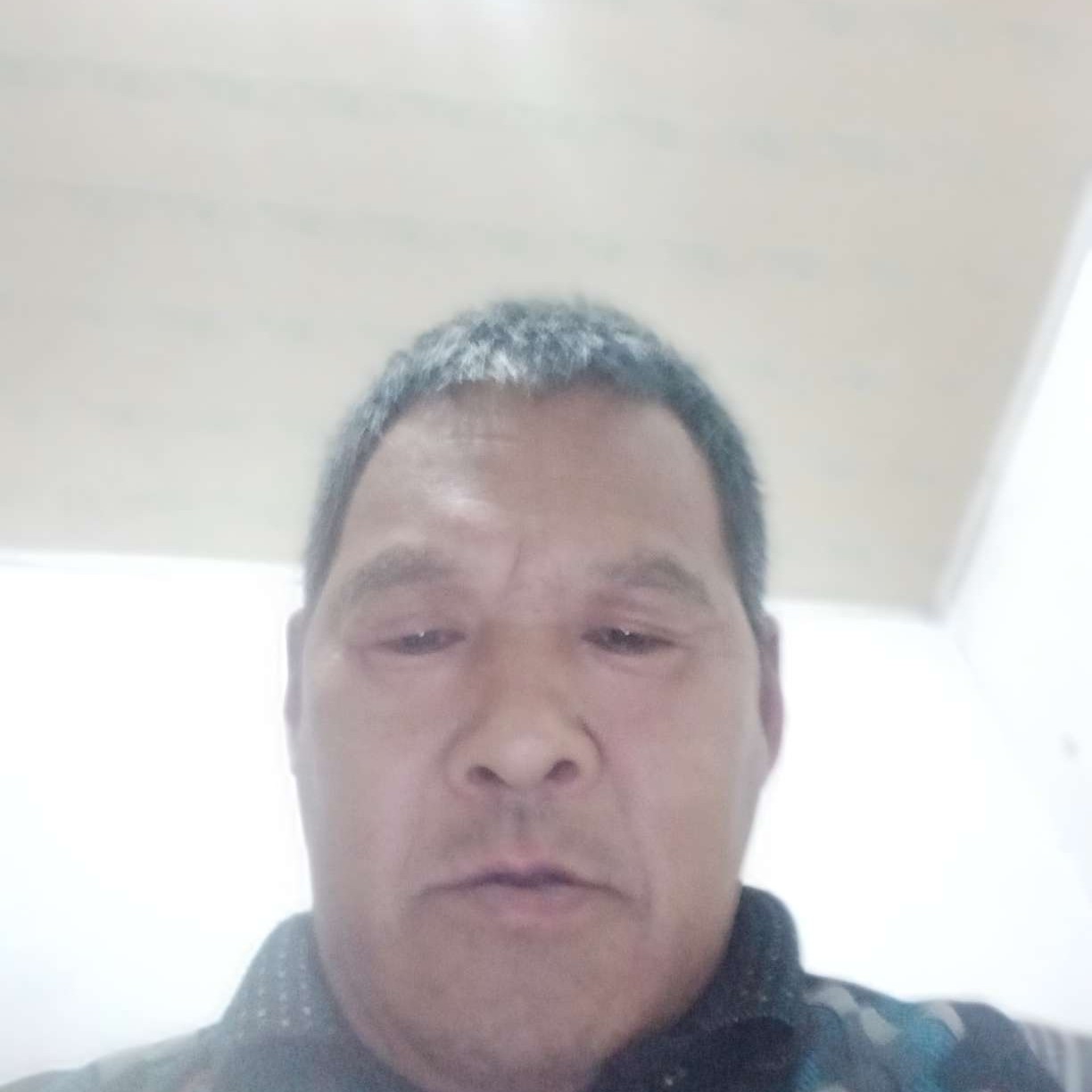 愉快停止蘩藜的照片