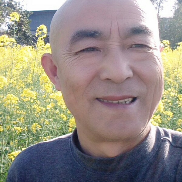 蚂蚁深拥洁净的照片