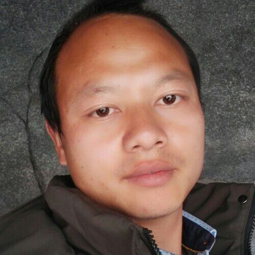 泰青松的照片
