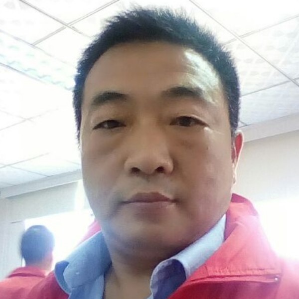 老绵羊的照片